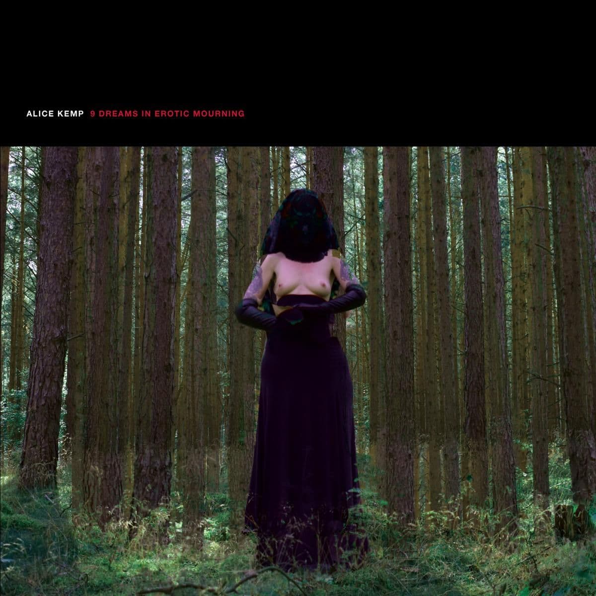9 Dreams In Erotic Mourning