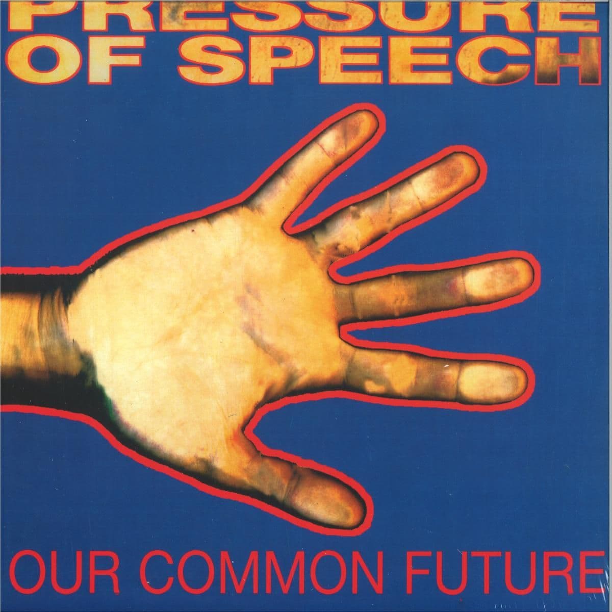 Our Common Past, Our Common Future