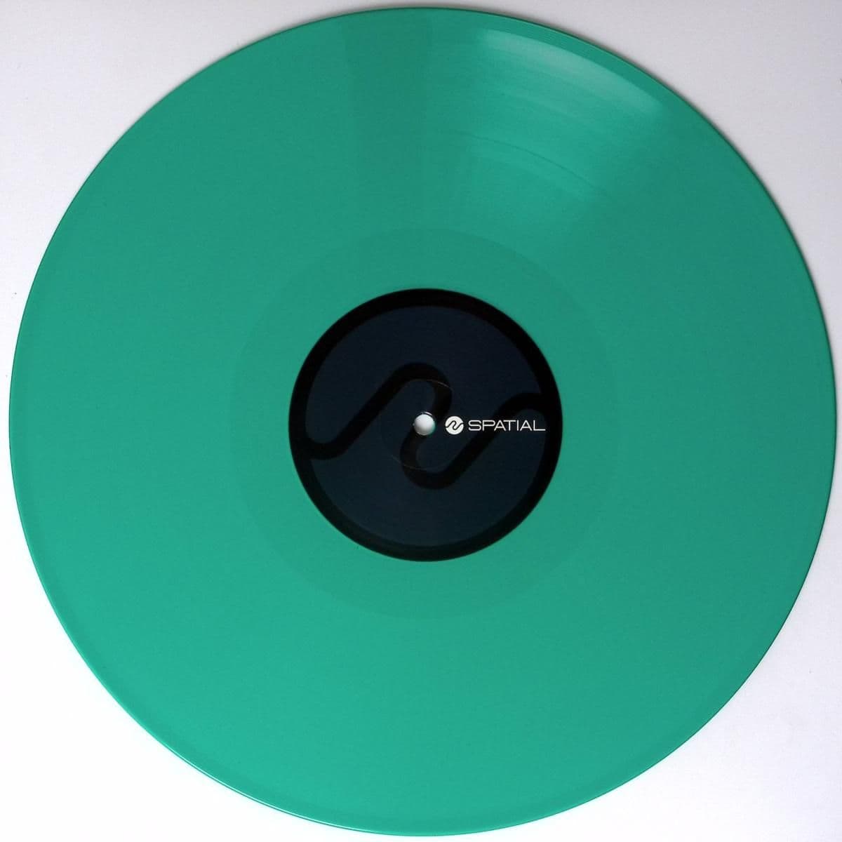 Vanishing Point LP 2x12"