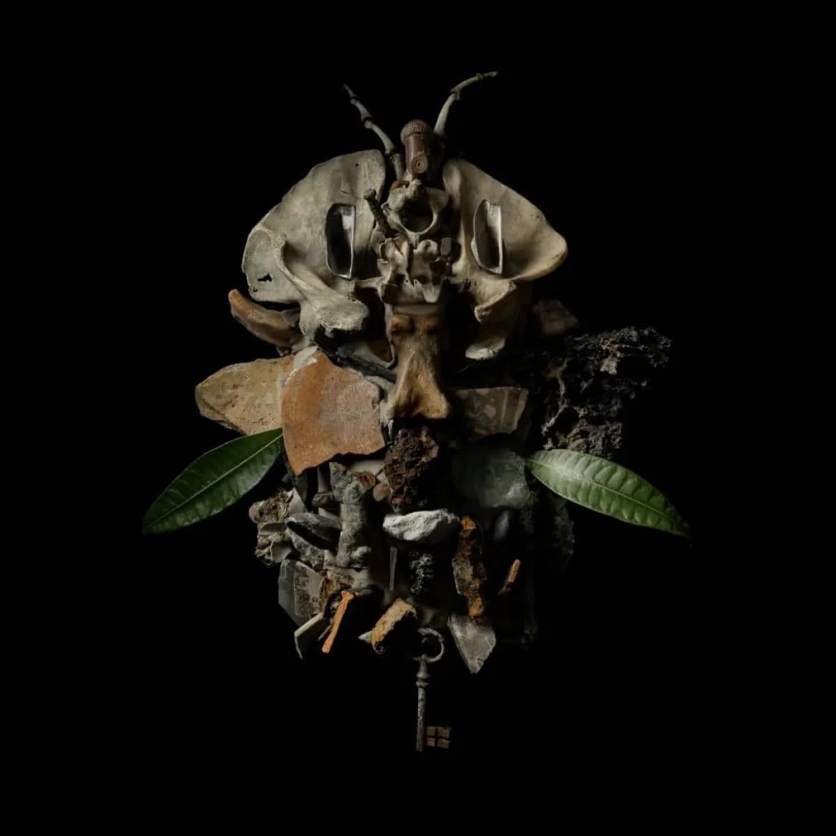 Displaces LP