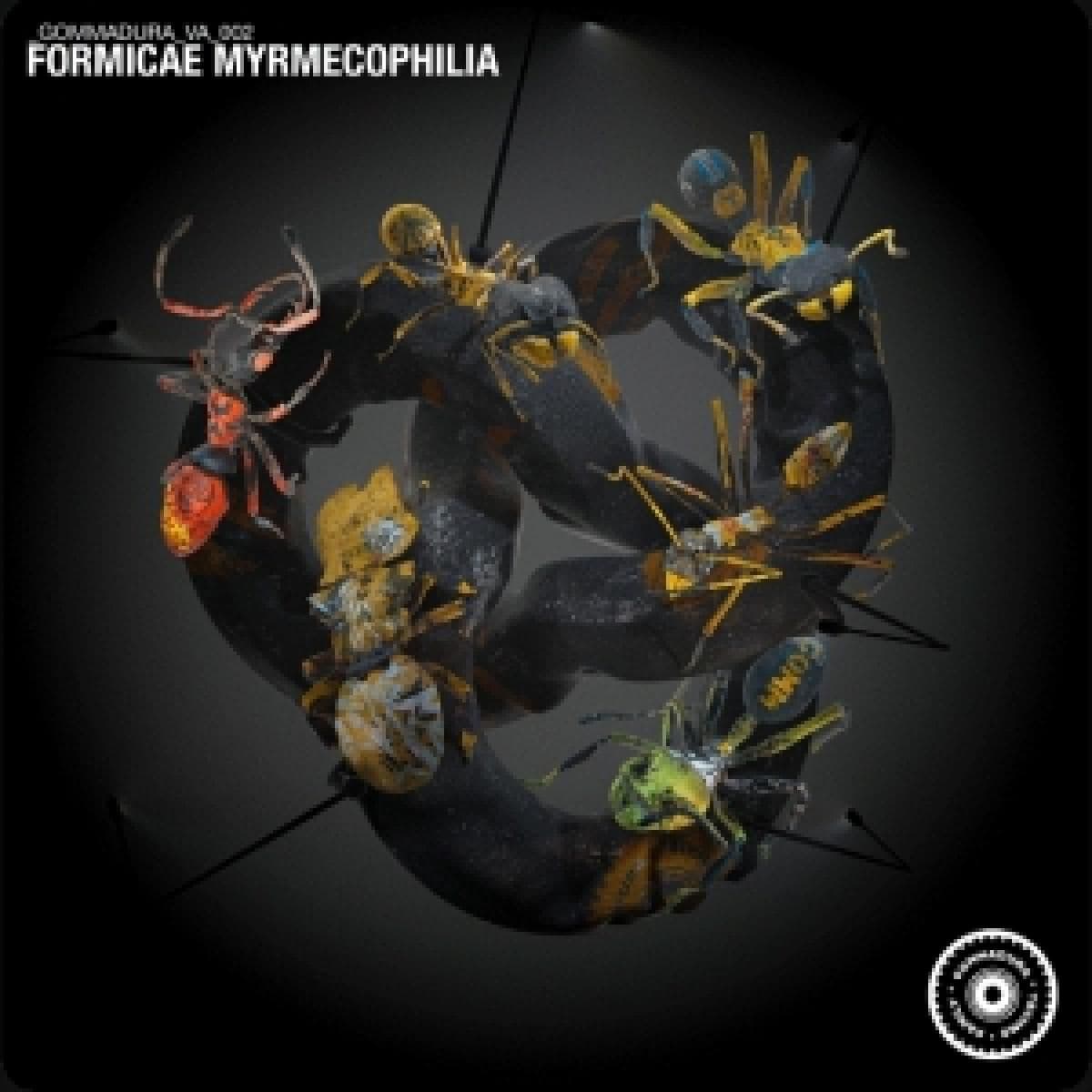 Formicae Myrmecophilia
