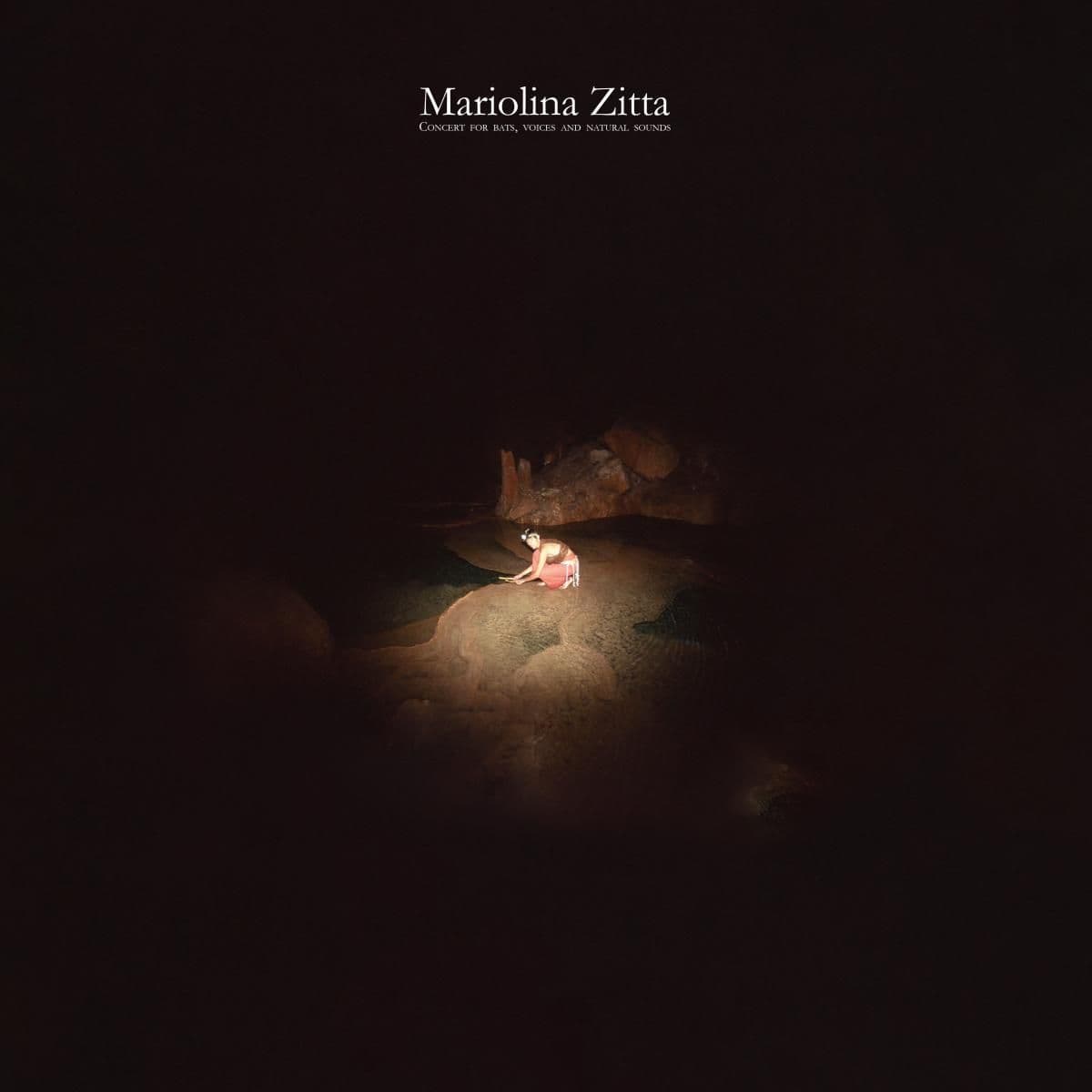 CONCERT FOR BATS, VOICES AND NATURAL SOUNDS LP