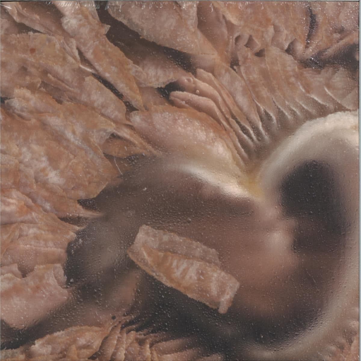 If U Are Curious 2x12"