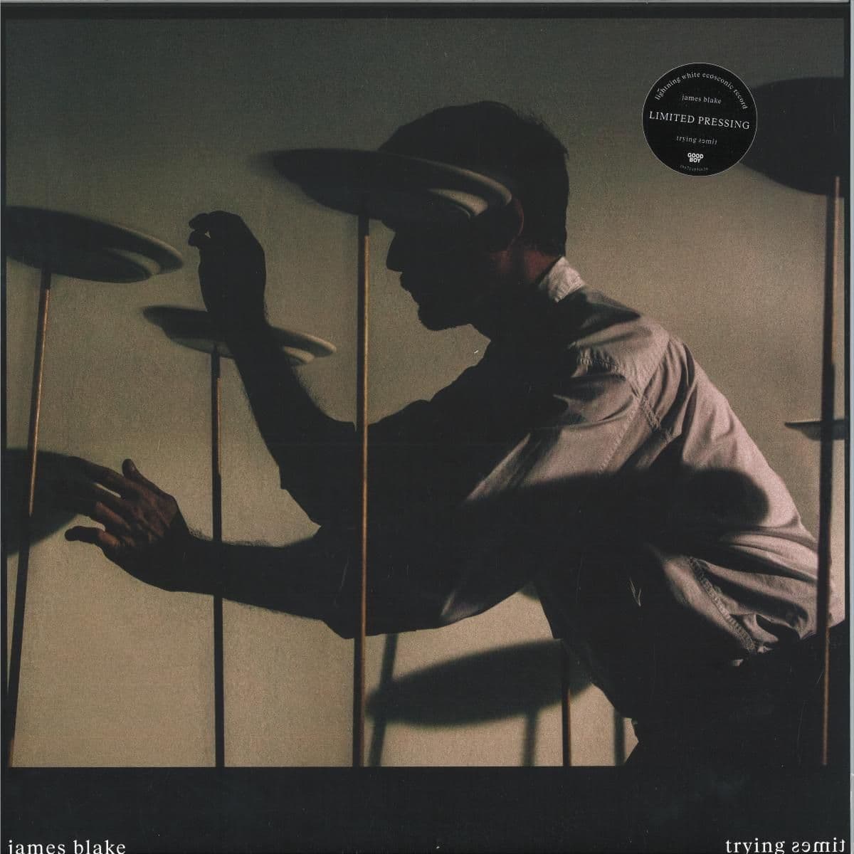 Trying Times LP 2x12"