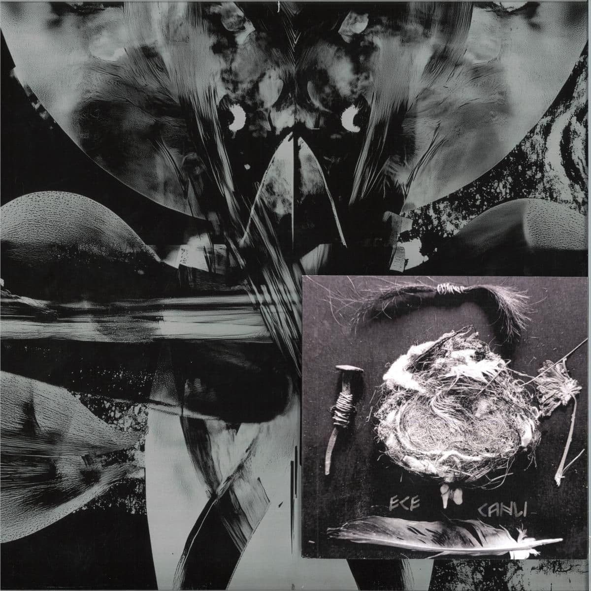 VOX FLORA VOX FAUNA LP