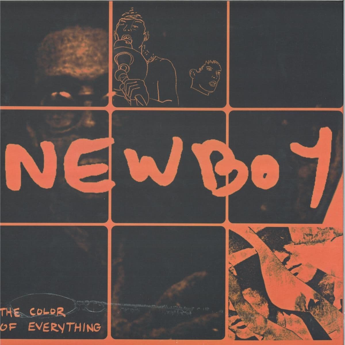 THE COLOR OF EVERYTHING LP