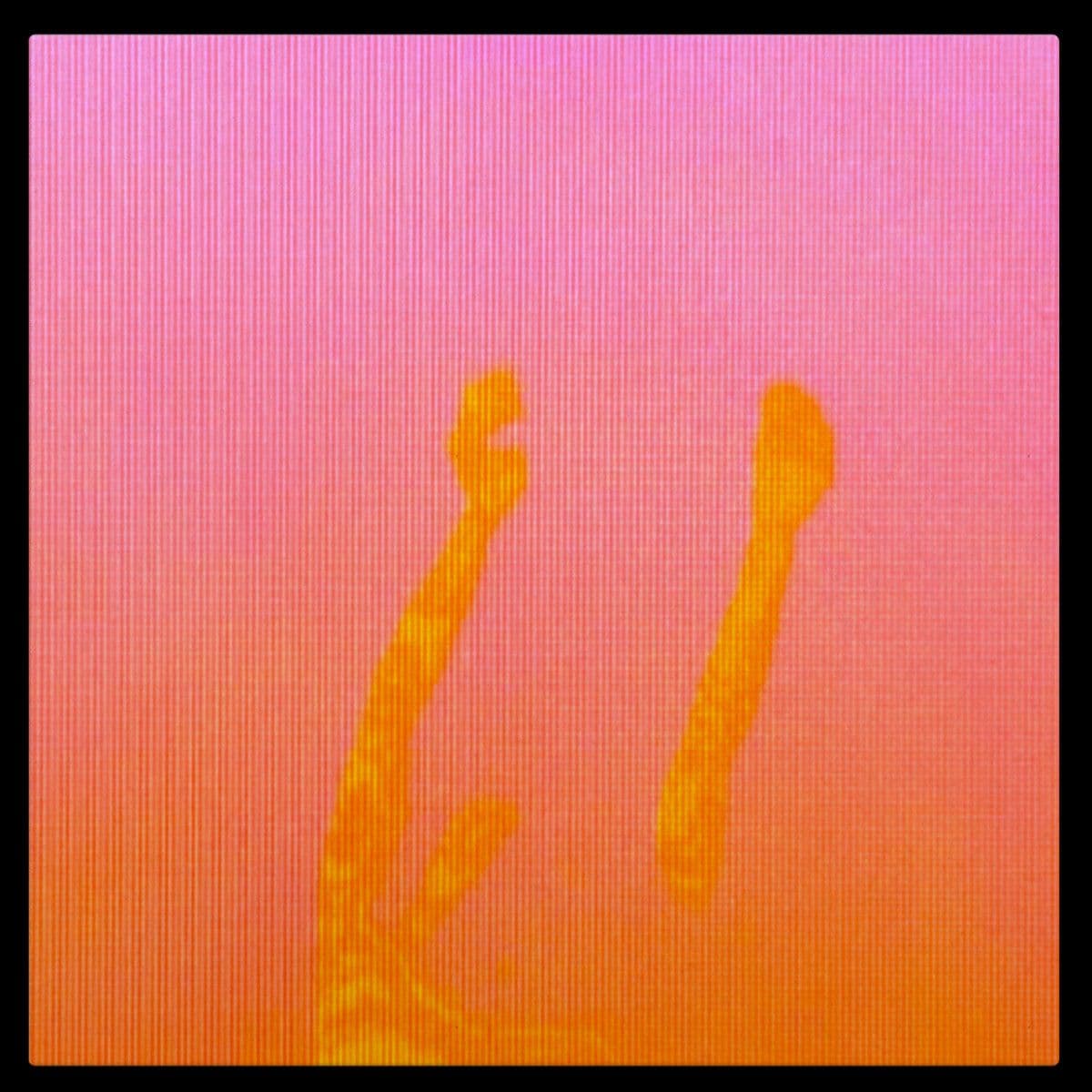 Tune IN LP 2x12"