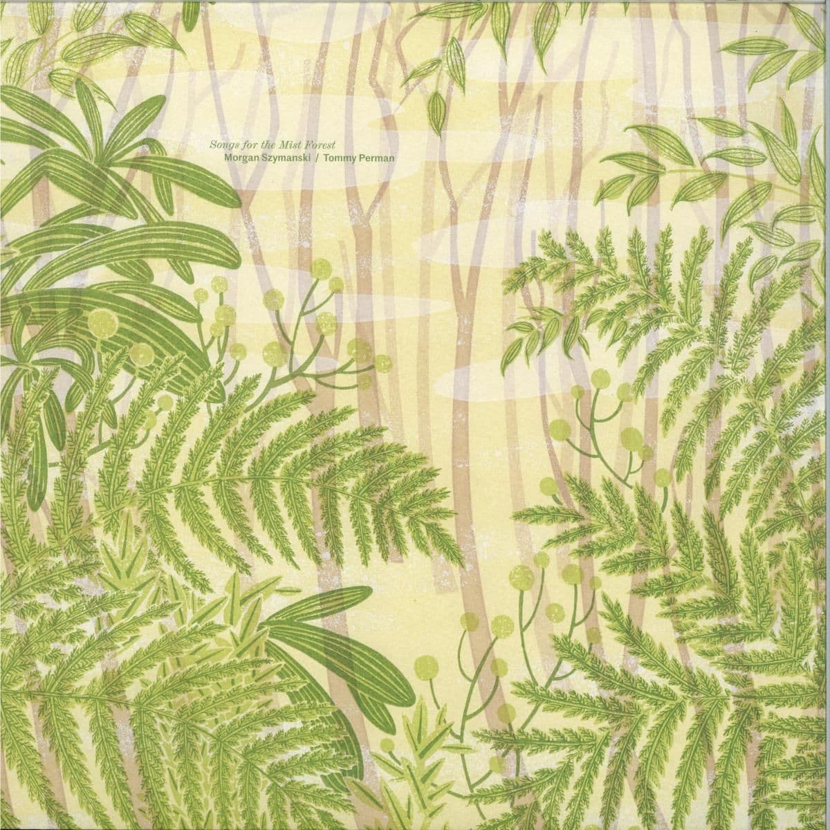 Songs for the Mist Forest