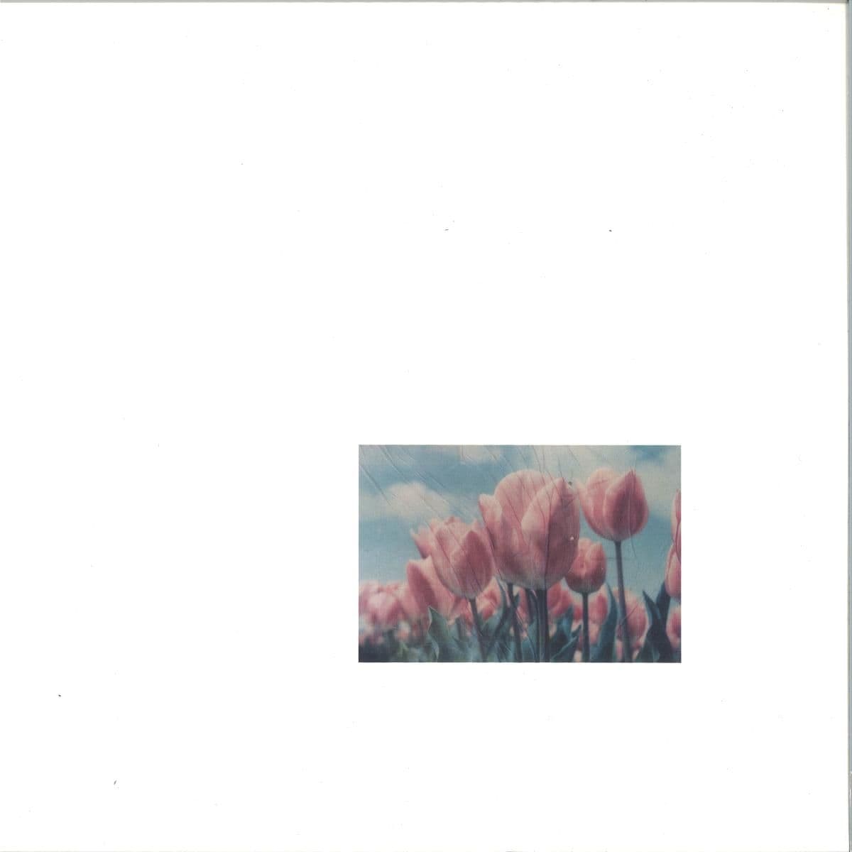 ST01 LP 2x12"