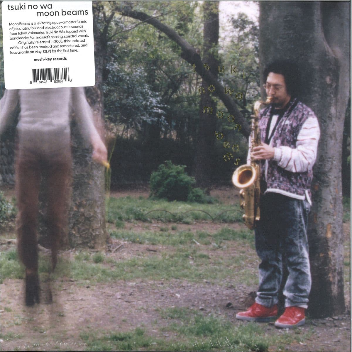 MOON BEAMS LP 2x12"