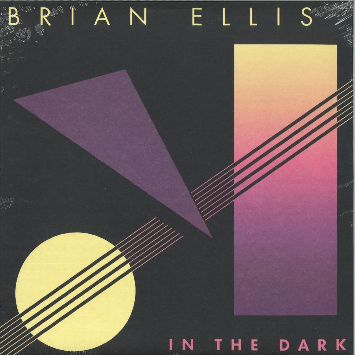 In The Dark LP