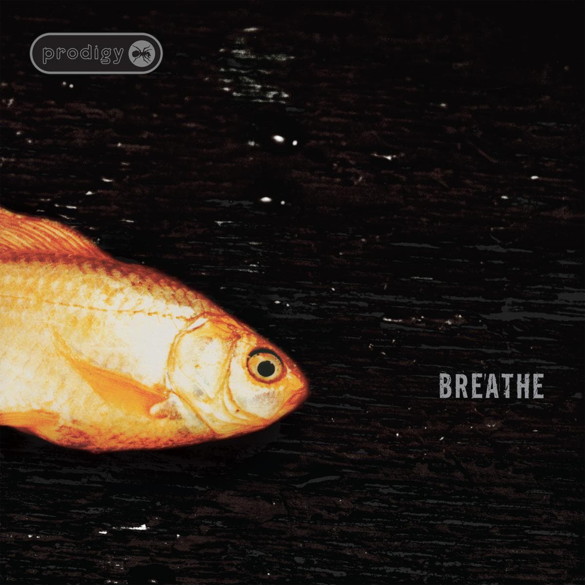 Breathe (30th Anniversary) thumbnail 2