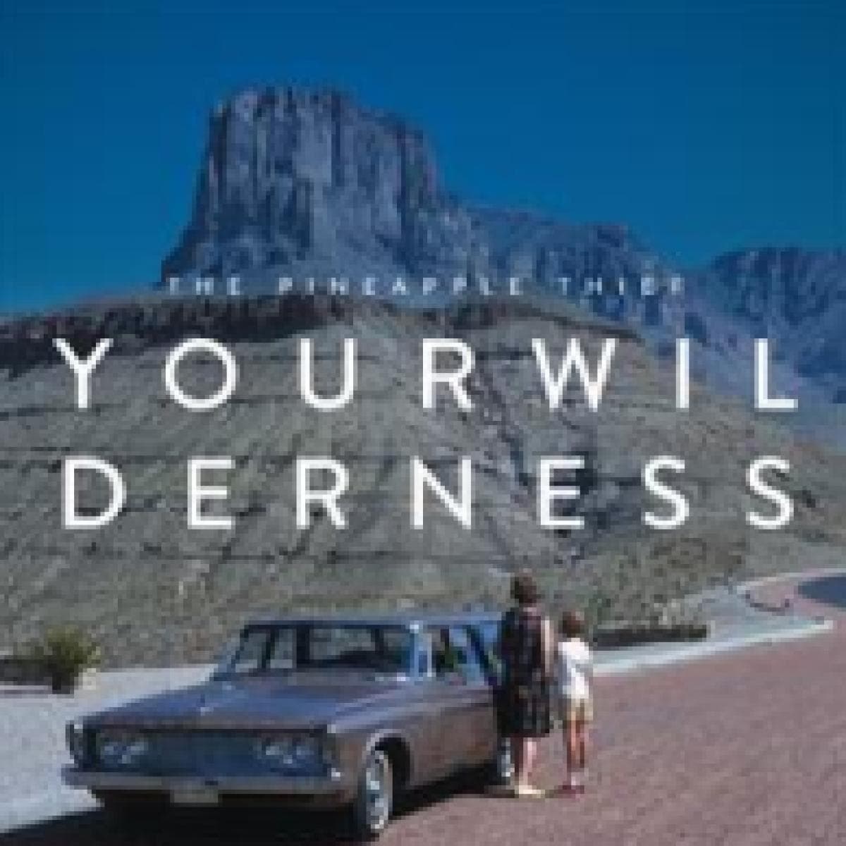 Your Wilderness (10th Anniversary) (2x12")
