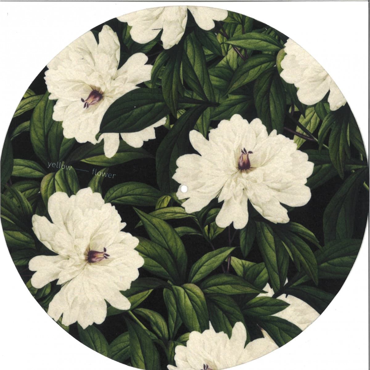 Slipmat 018