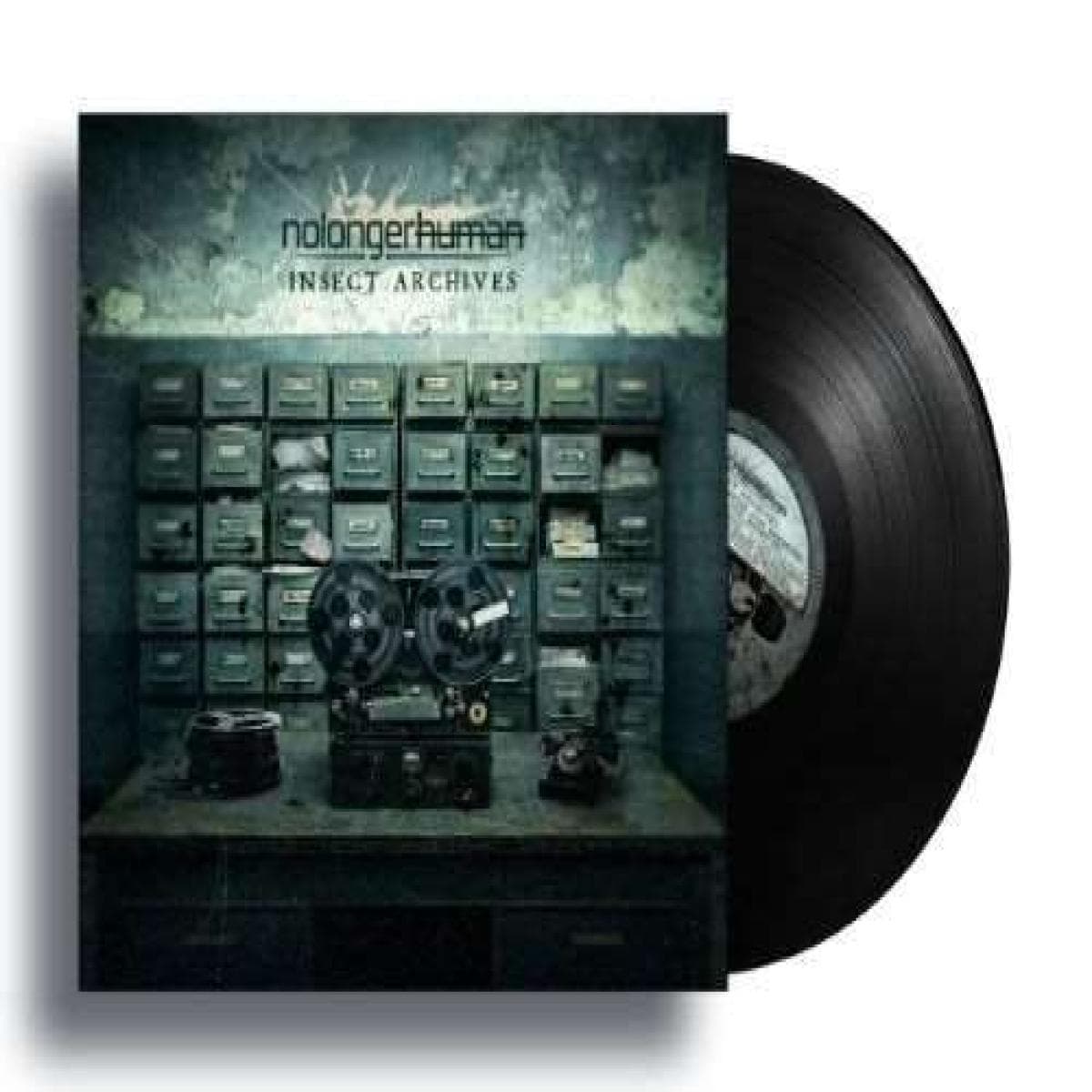 Insect Archives EP