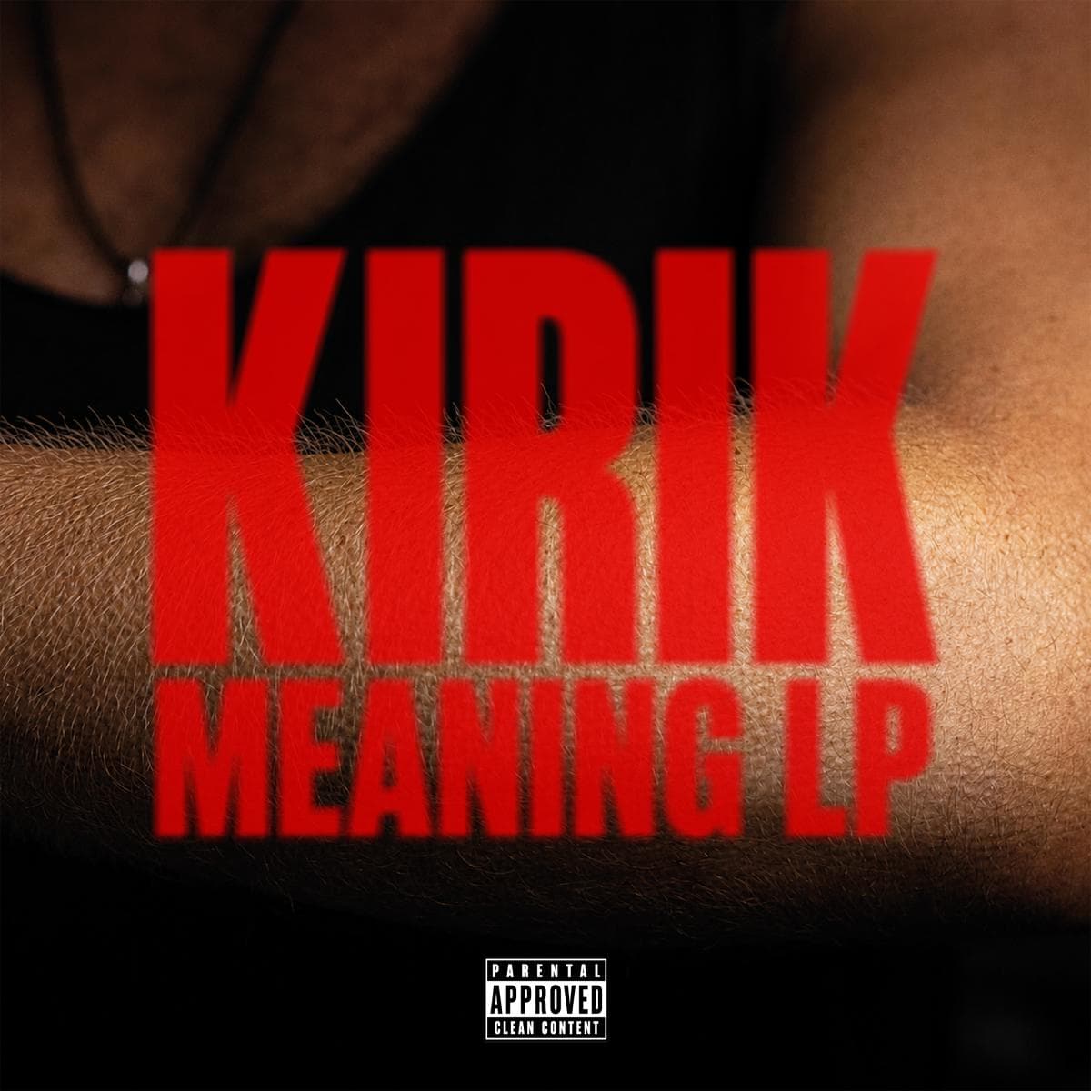 Meaning LP thumbnail 2