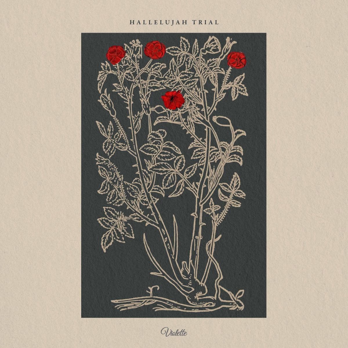 HALLELUJAH TRIAL LP