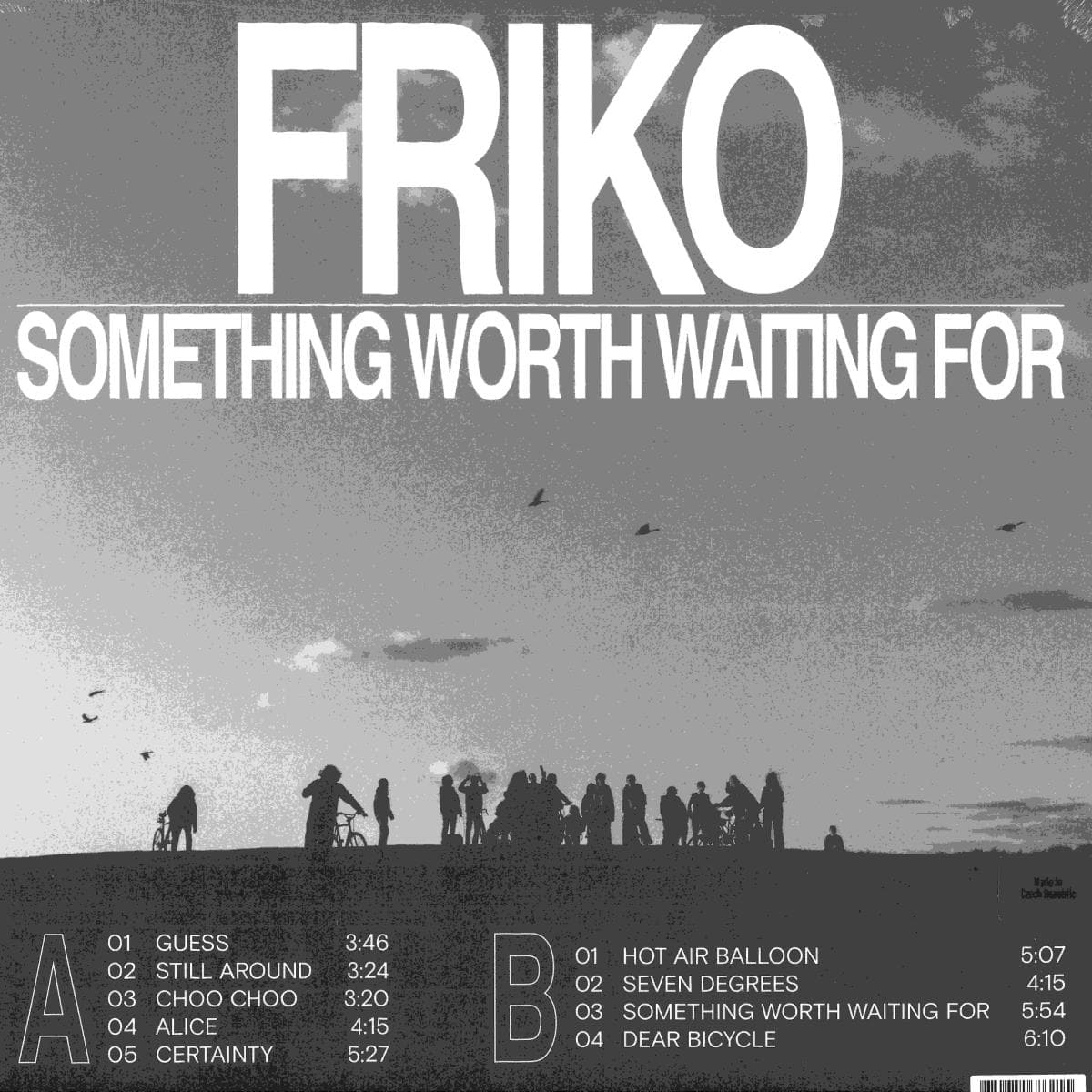 Something Worth Waiting For LP