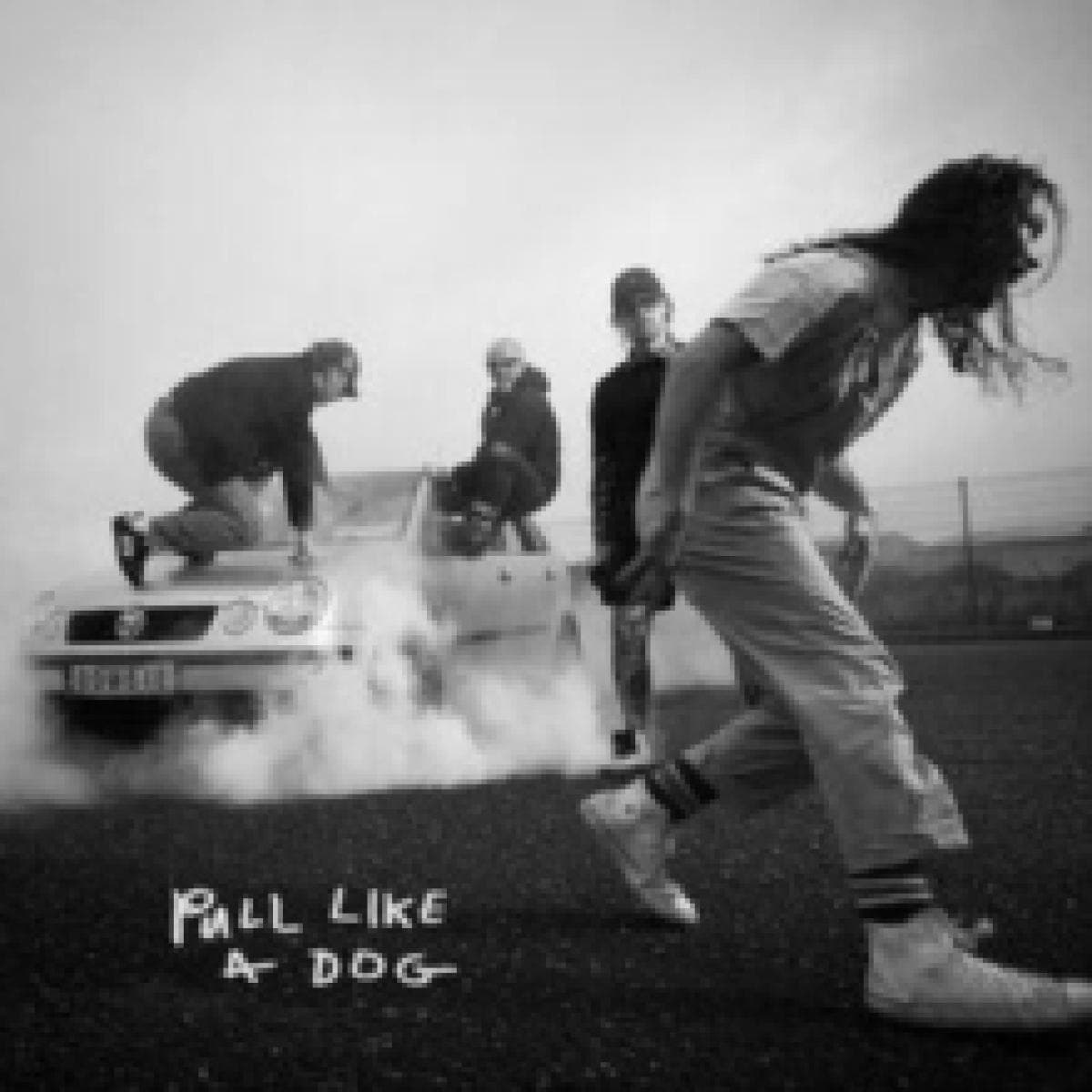 Pull Like a Dog LP thumbnail 2