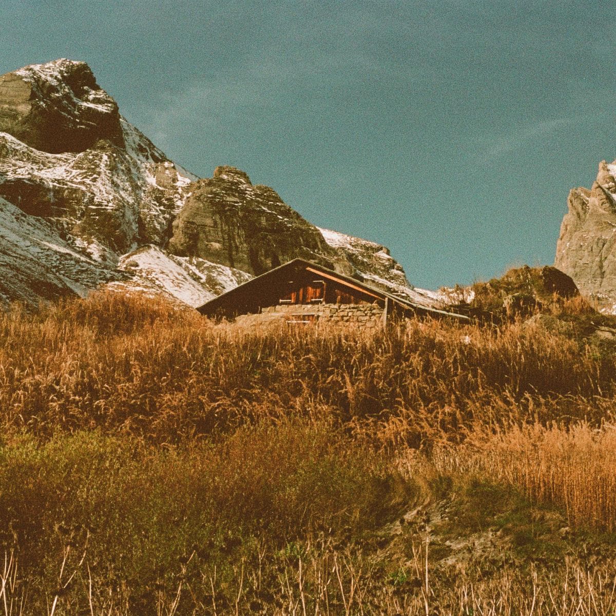 Build and Rest by the Shepherd’s Light