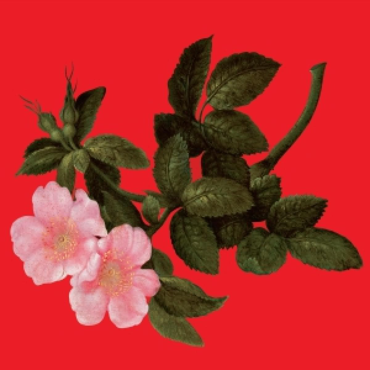The Lyrical Edge LP 2x12"