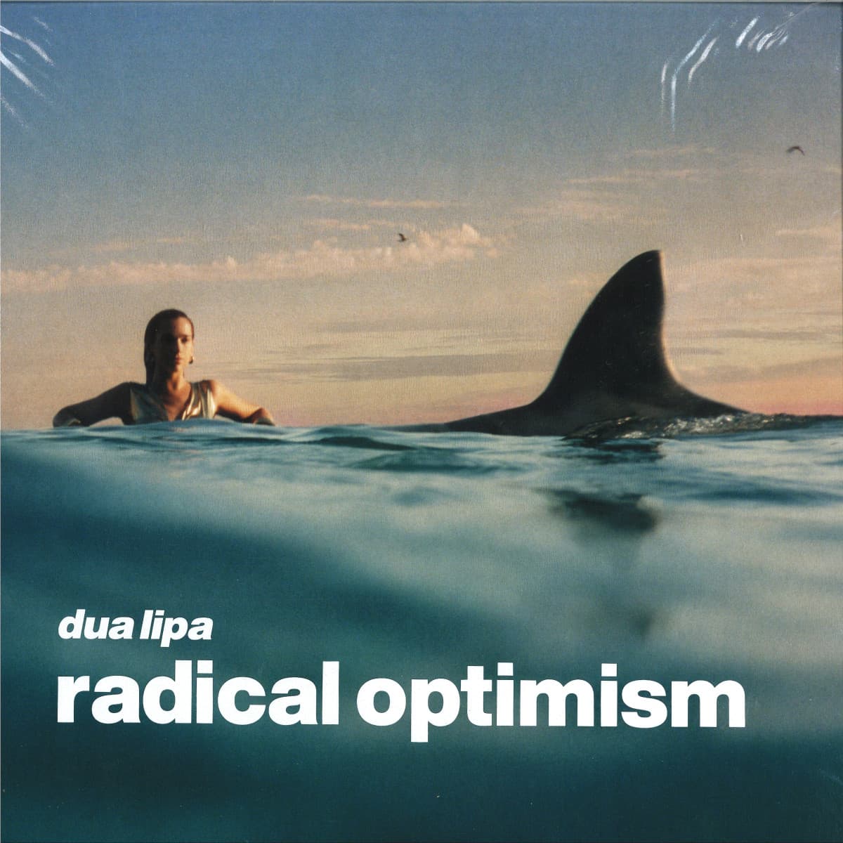 Radical Optimism LP