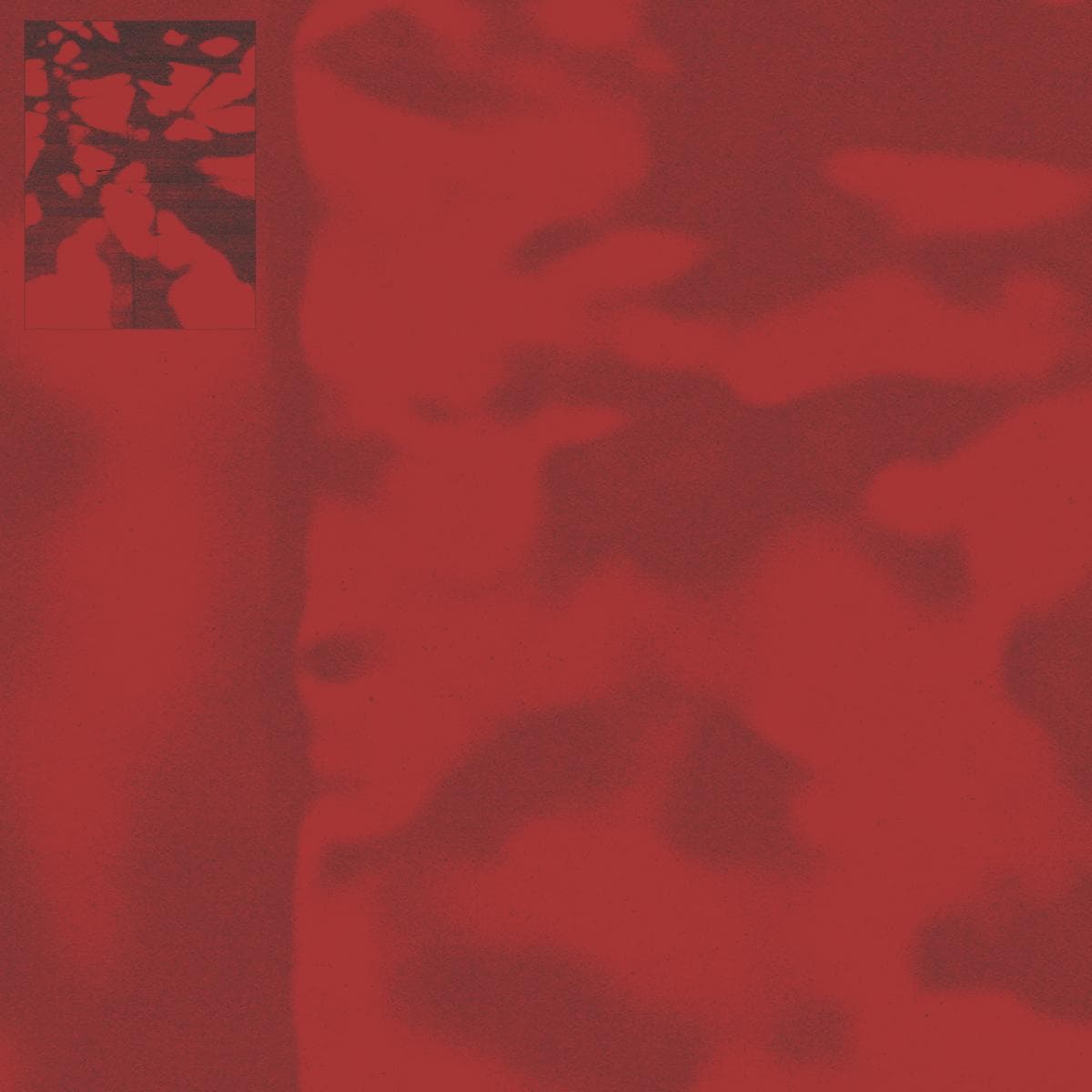 Havoc [Printed Sleeve] thumbnail 2