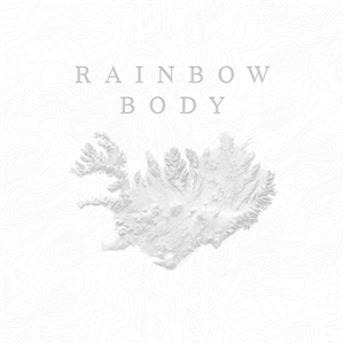 RAINBOW BODY LP 2x12" thumbnail 2