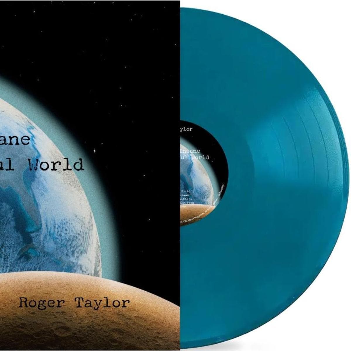 Violence Insane in a Beautiful World LP