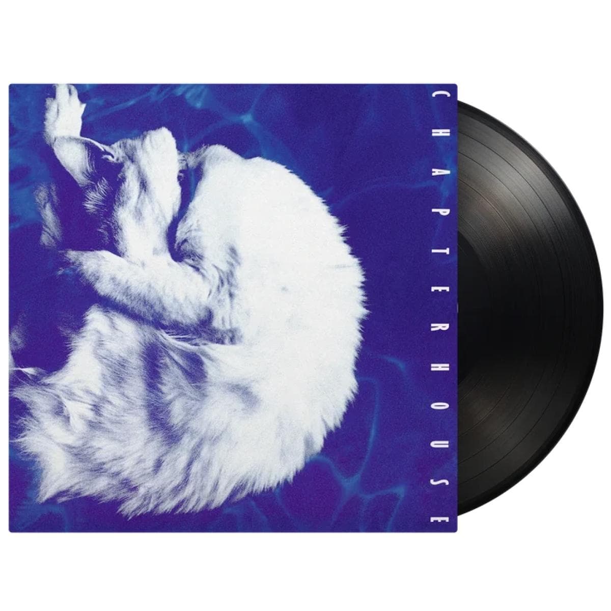 Whirlpool LP thumbnail 2