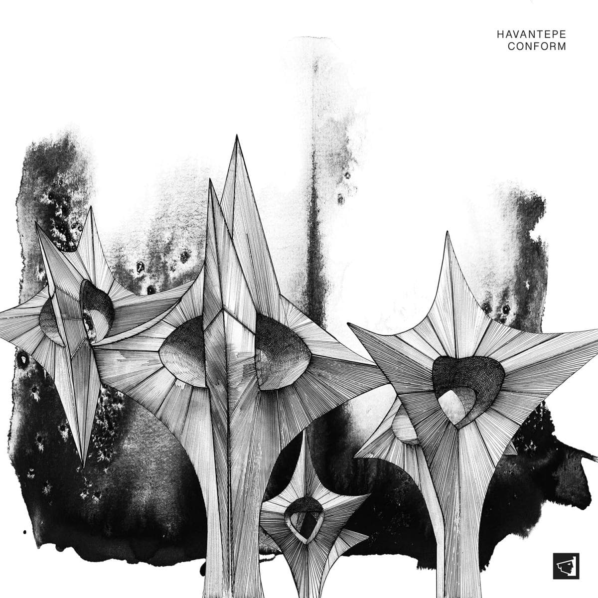 Conform EP