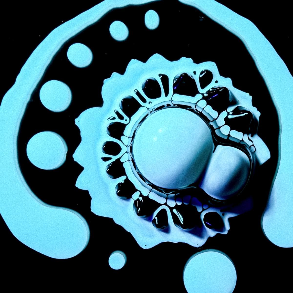 KYSH-003