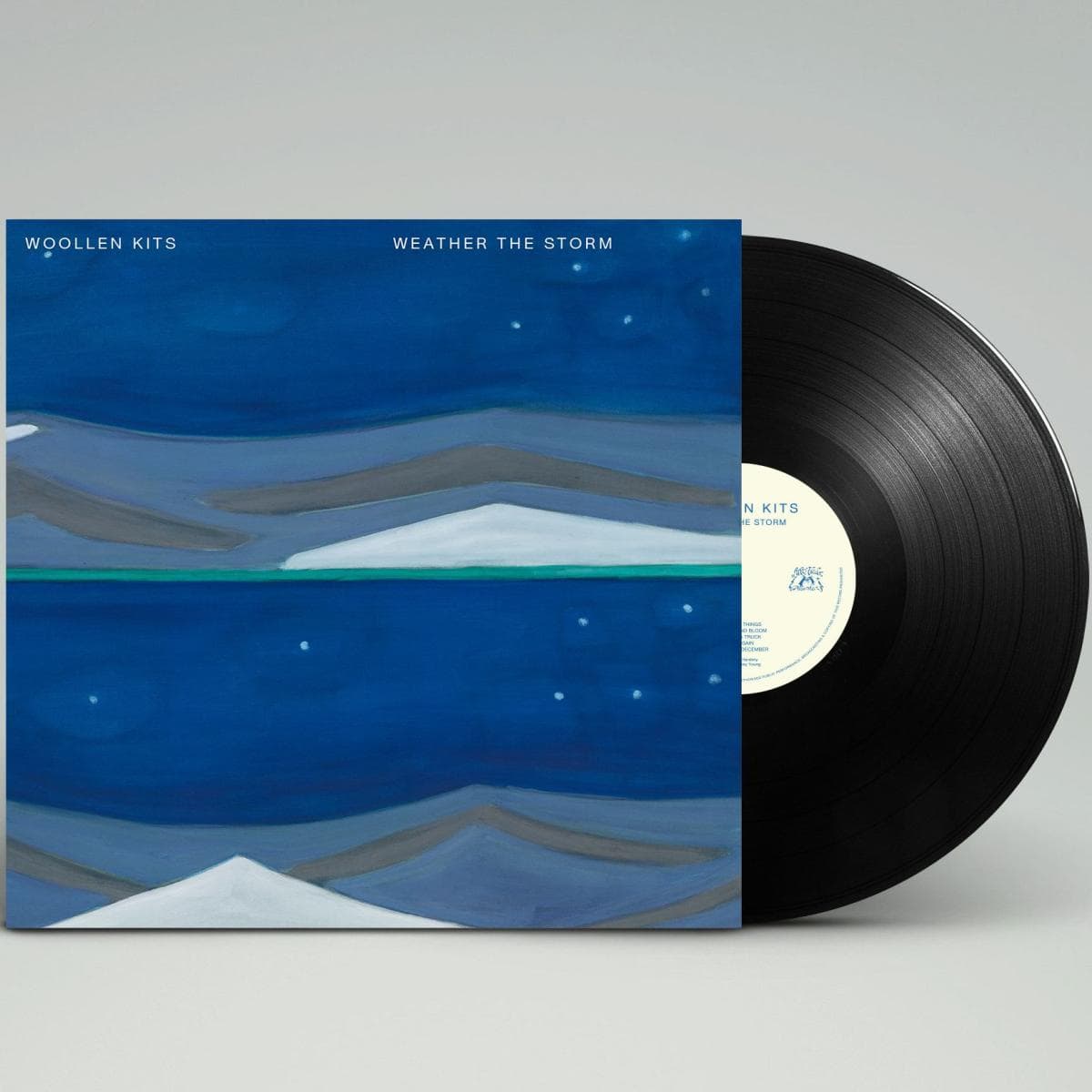 WEATHER THE STORM LP thumbnail 2