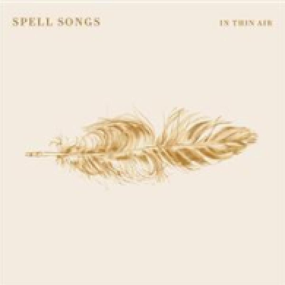 In Thin Air LP