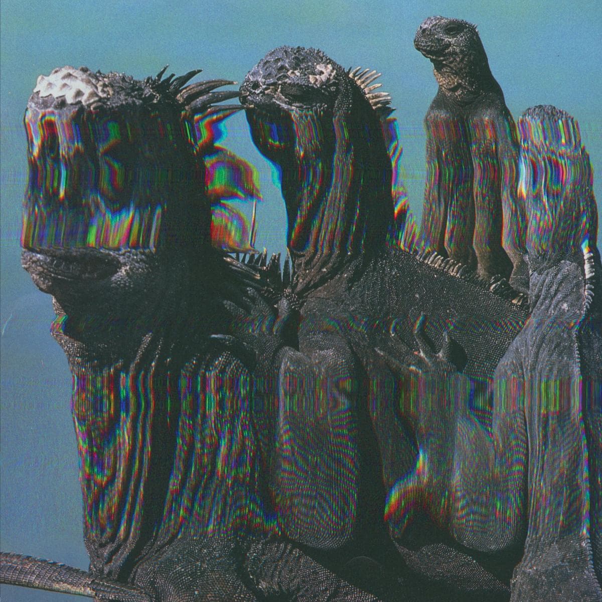 Niche Flex LP