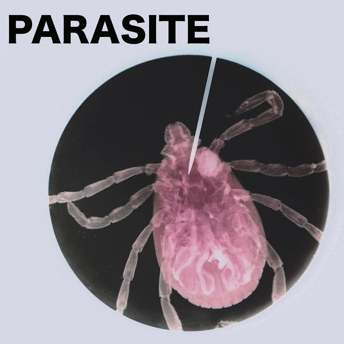 PARASITE01