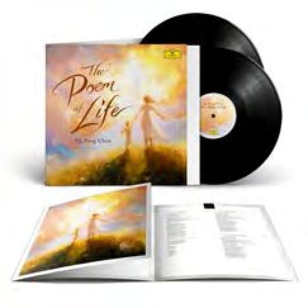 The Poem of Life LP 2x12"