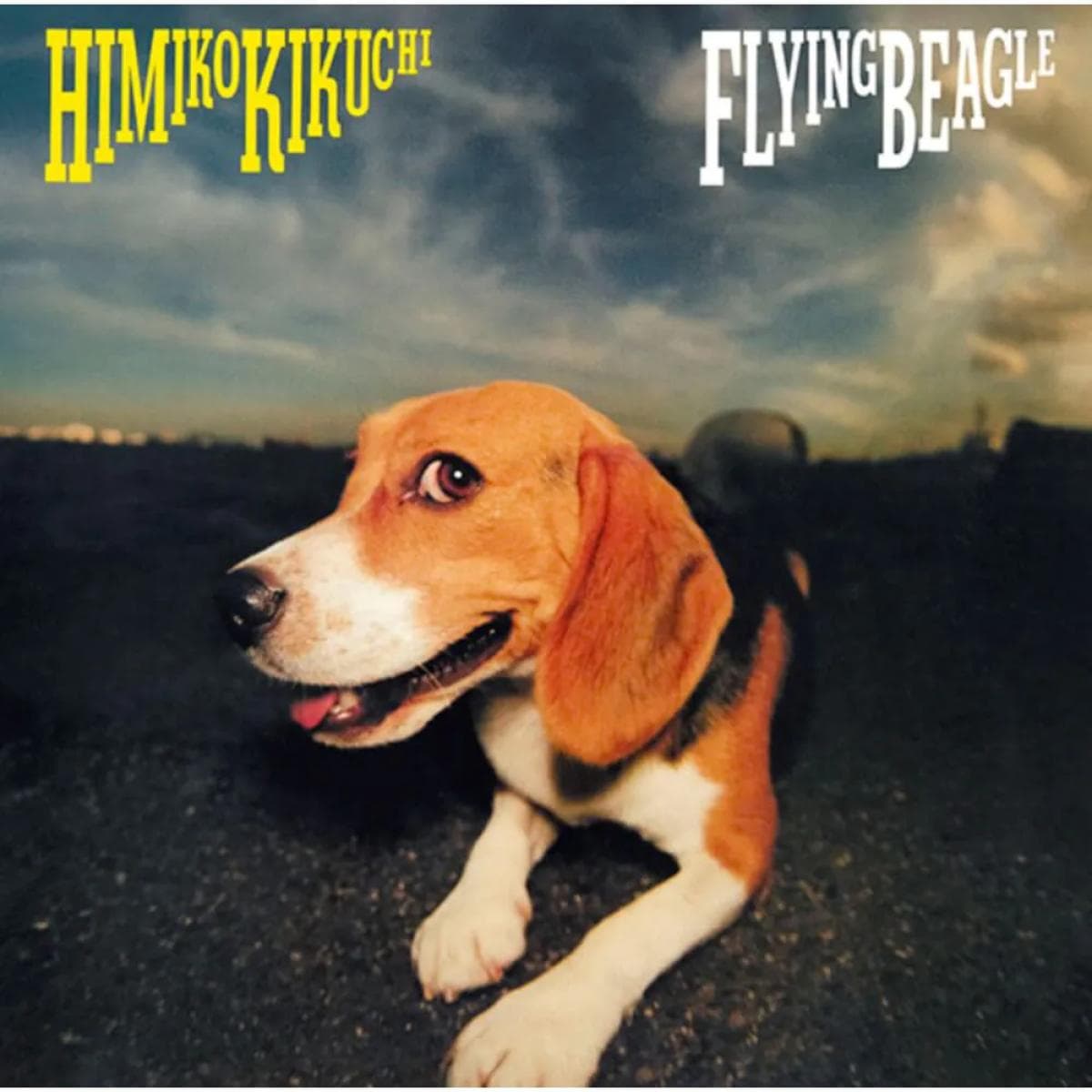 FLYING BEAGLE LP