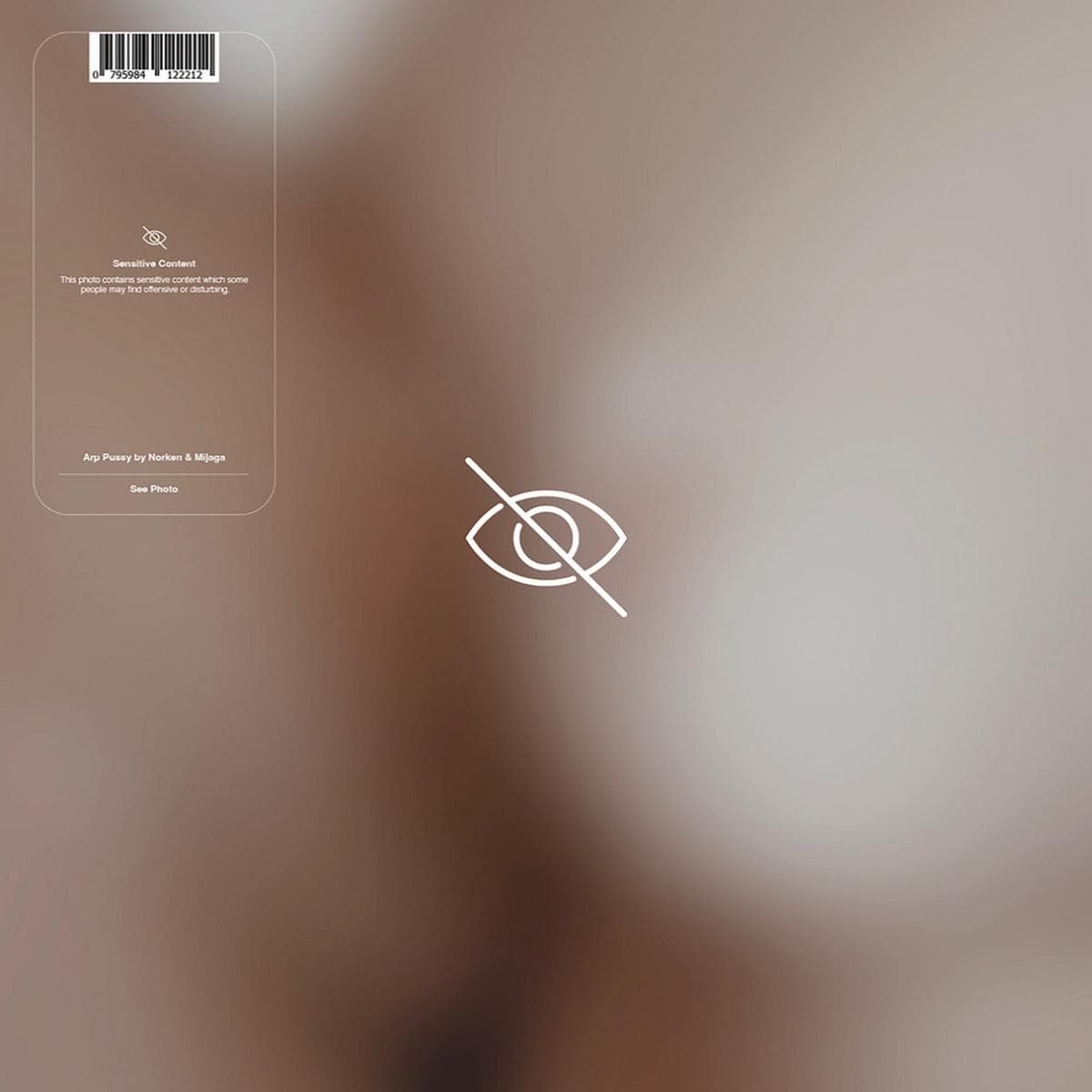 ARP PUSSY (2x12")
