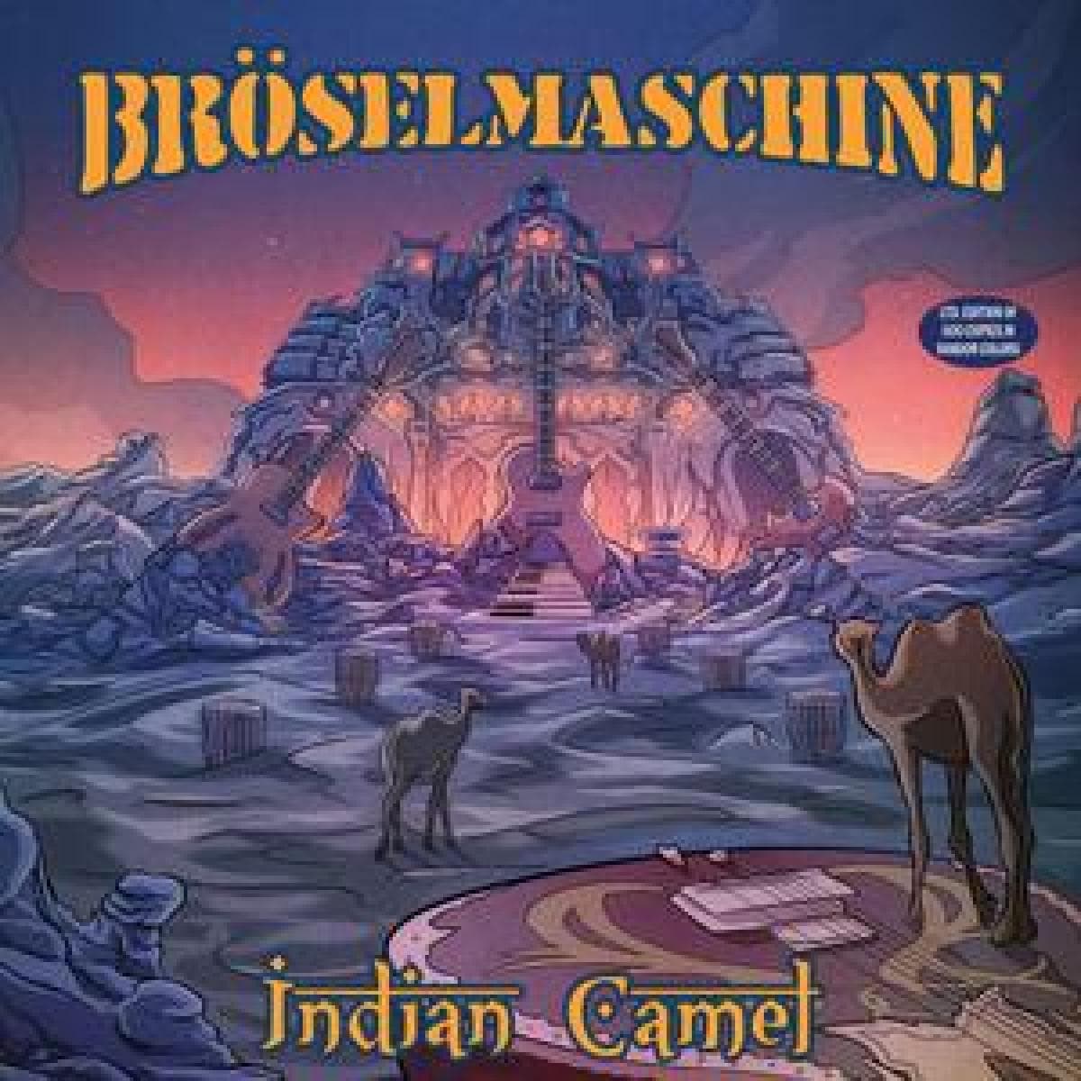 INDIAN CAMEL
