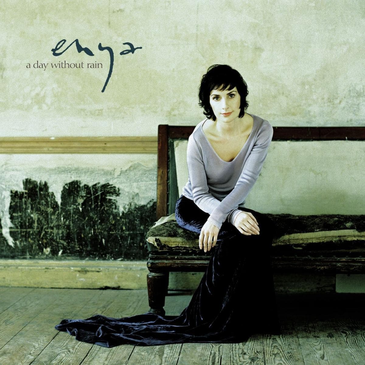 A Day Without Rain LP