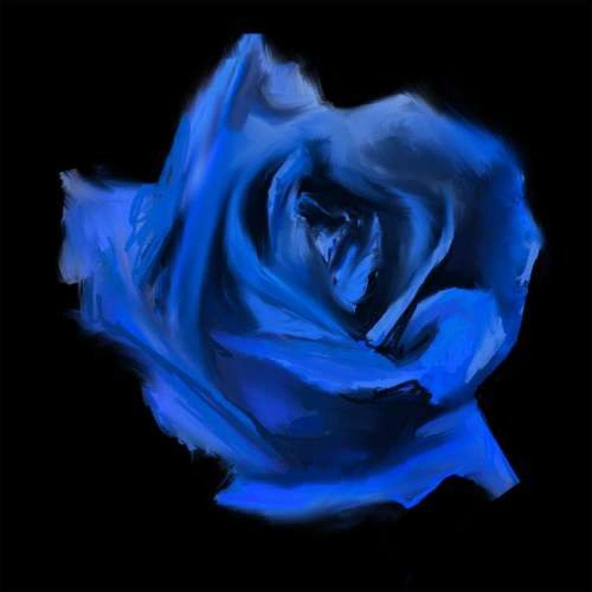 ROSEBUD