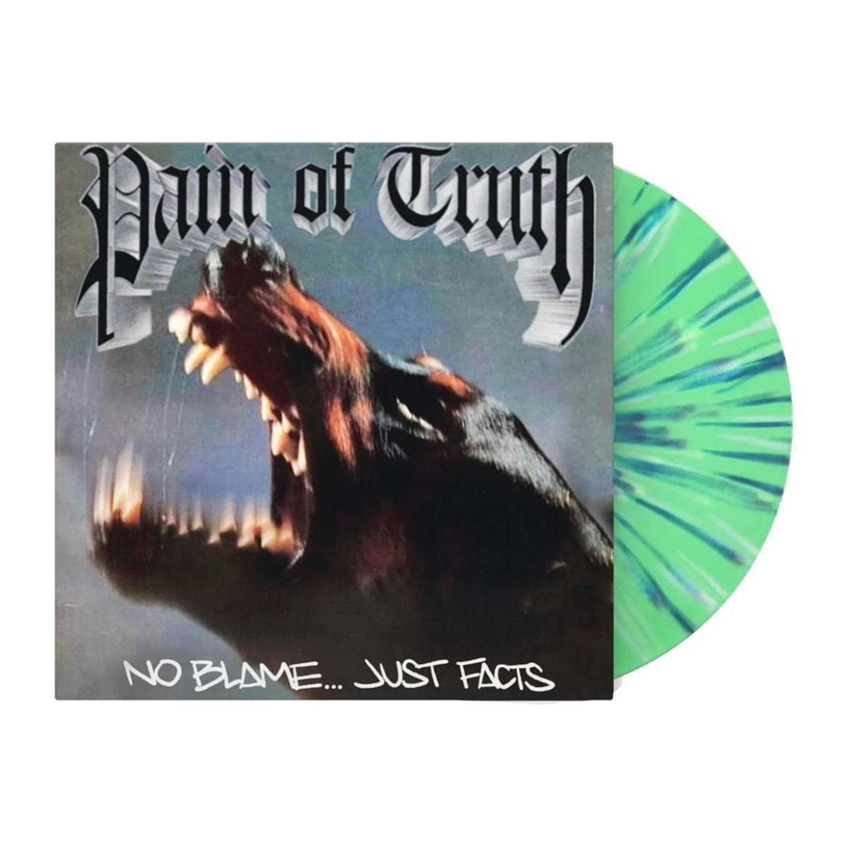 No Blame Just Facts LP