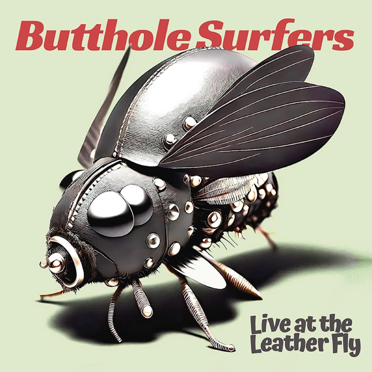 Live at the Leather Fly (LP)