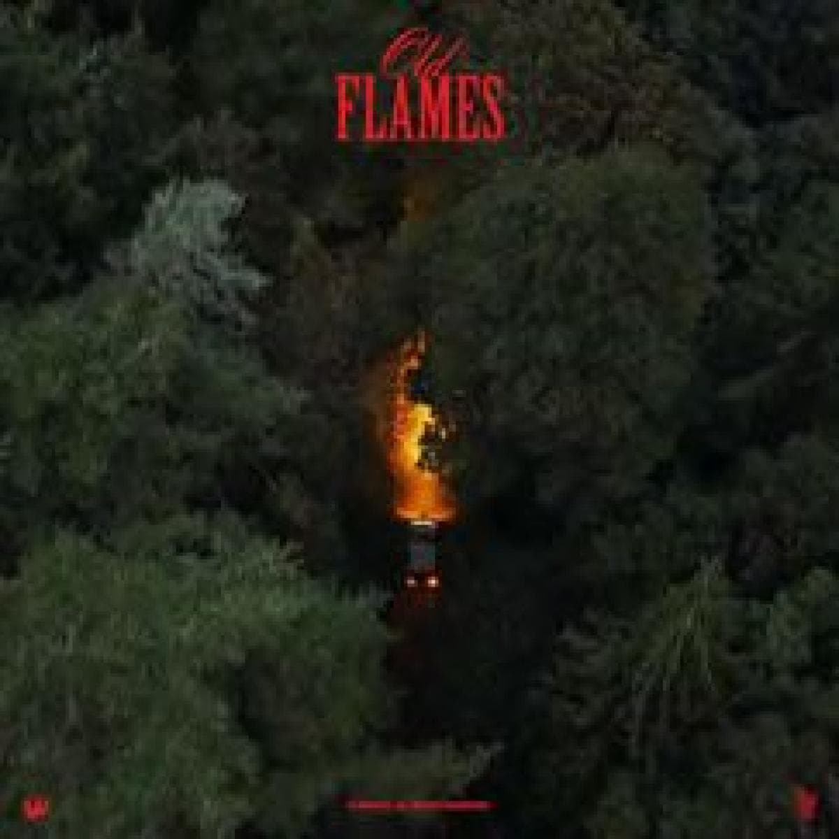 Old Flames