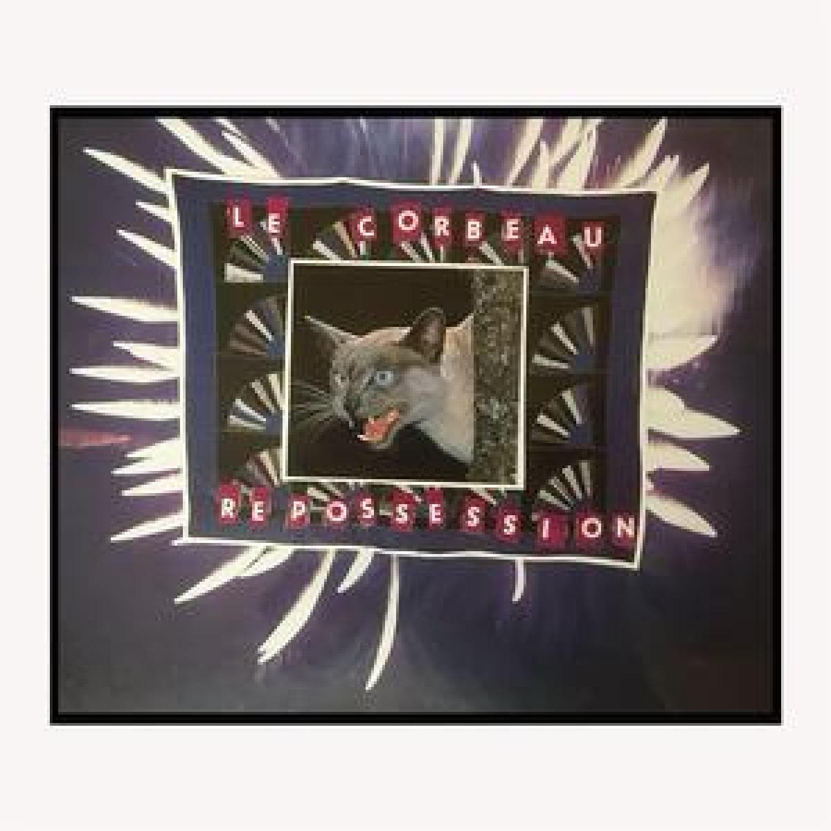 REPOSSESSION