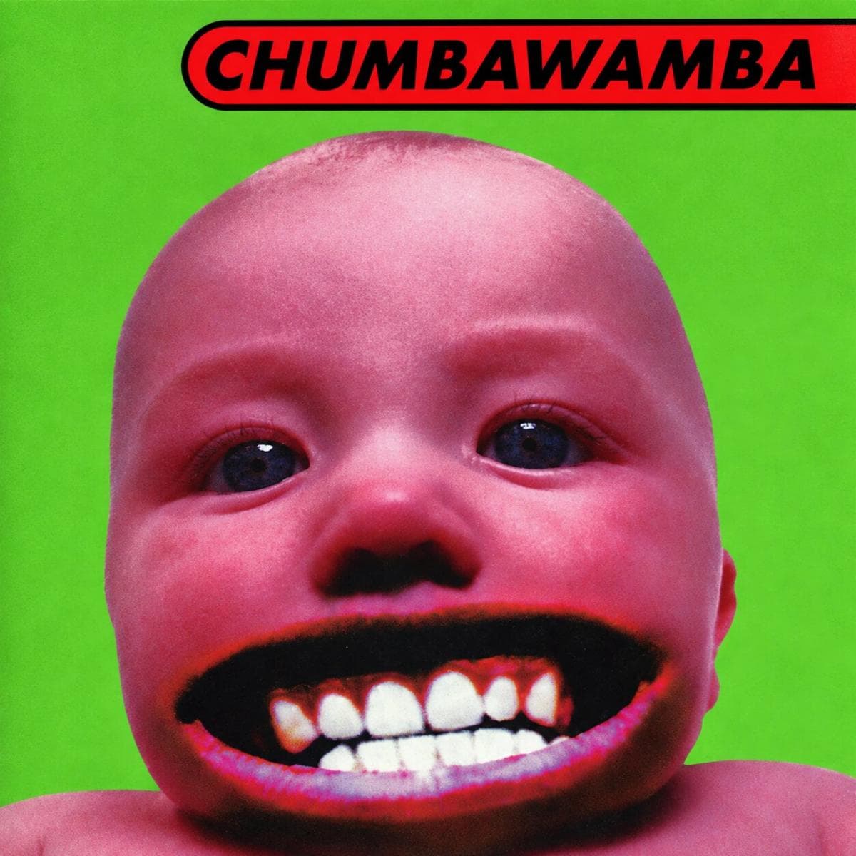 Tubthumper LP 2x12"