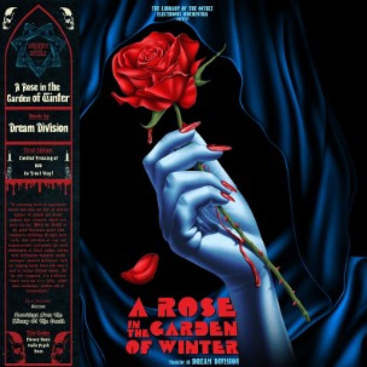 A Rose in the Garden of Winter