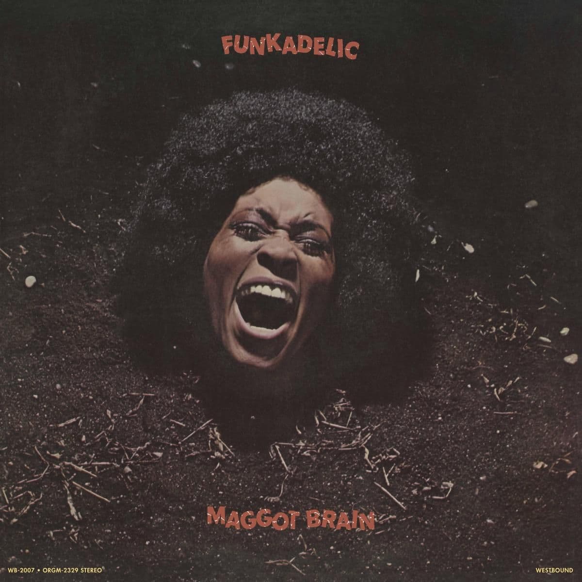 Maggot Brain LP