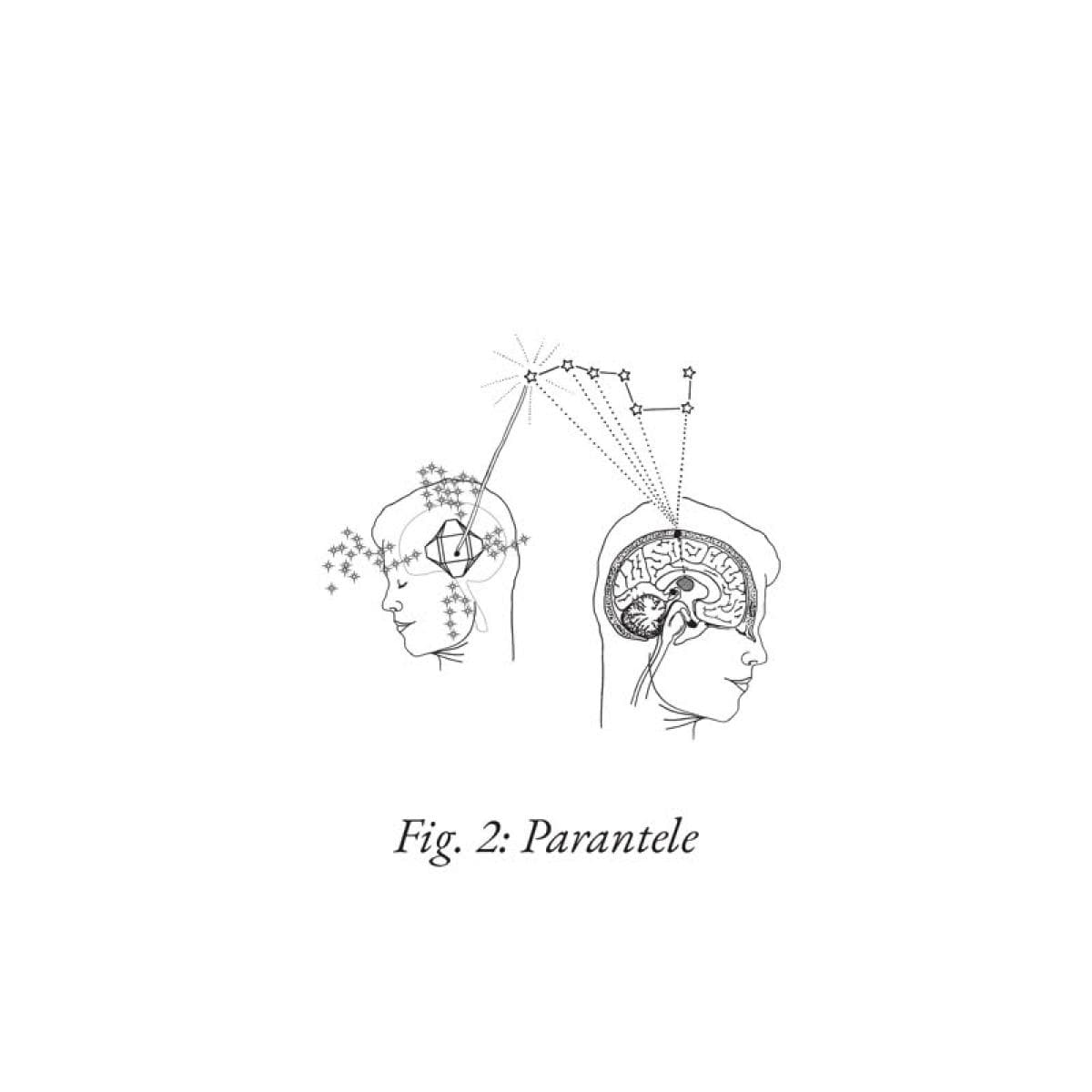 Parantele pt.2 LP